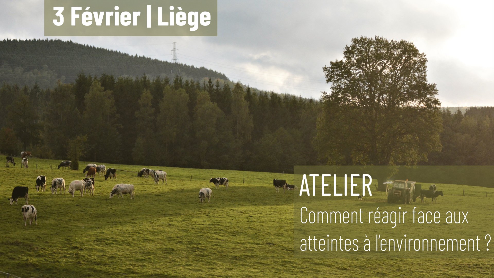 You are currently viewing Liège – Atelier – Comment réagir face aux atteintes à l’environnement ?