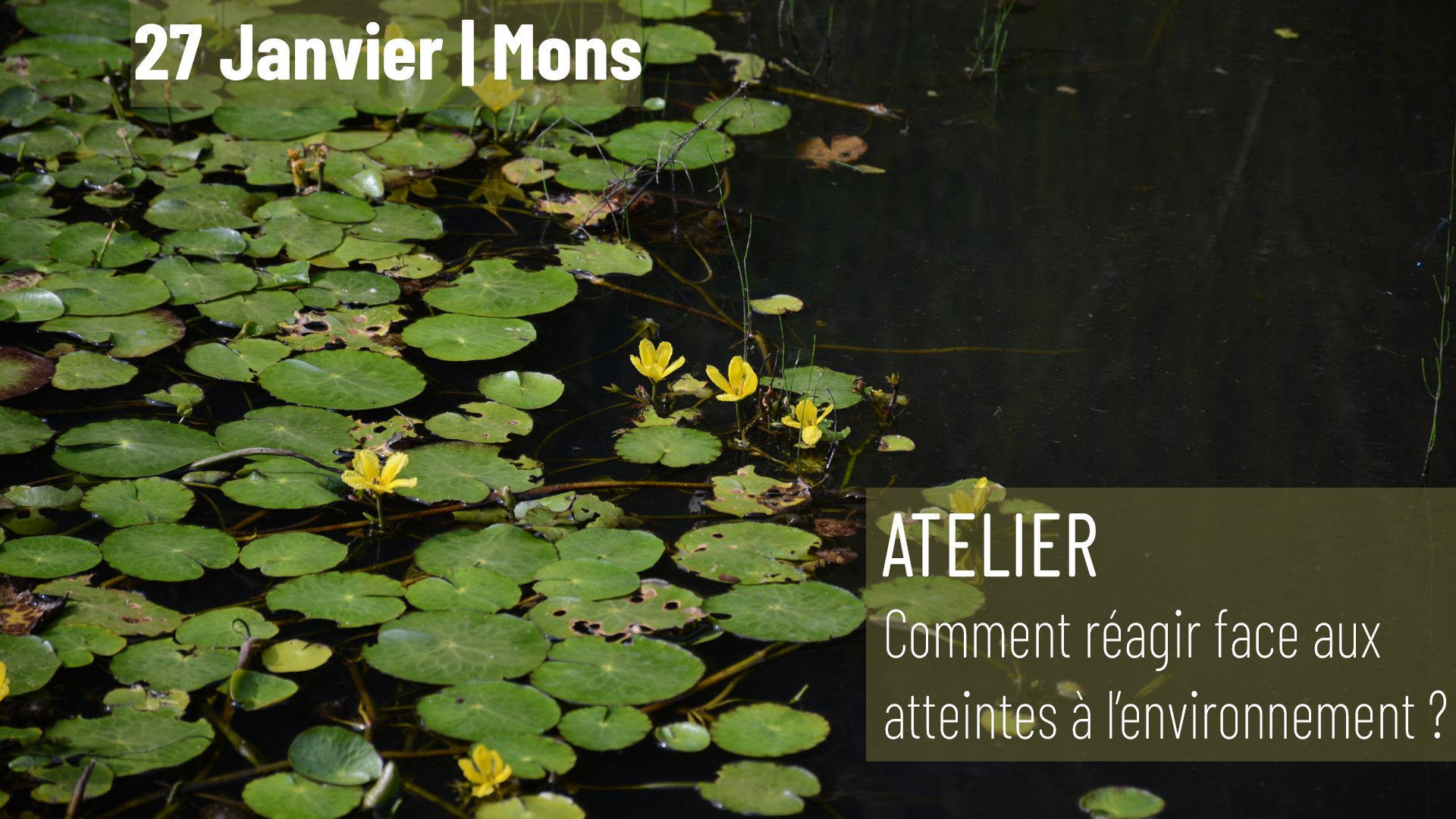 You are currently viewing Mons – Atelier – Comment réagir face aux atteintes à l’environnement ?